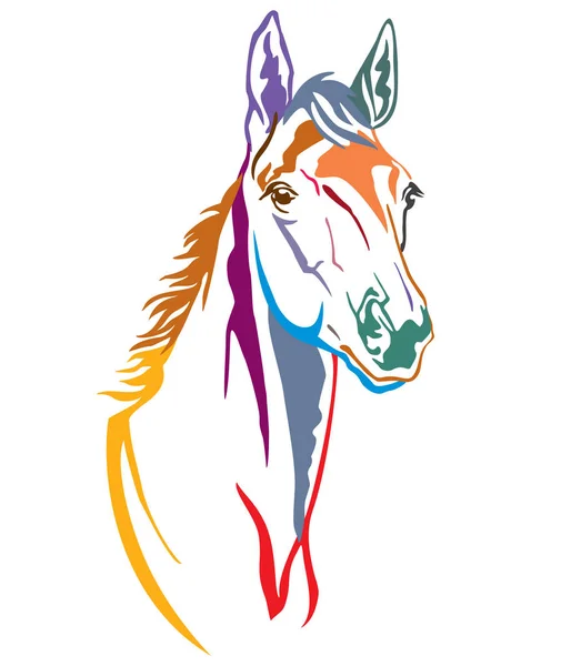 Barevný dekorativní kůň 2 — Stockový vektor