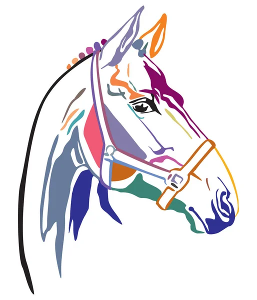 Colorato cavallo decorativo 3 — Vettoriale Stock