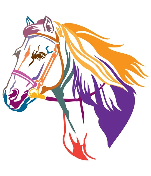 Caballo decorativo colorido 9 — Vector de stock