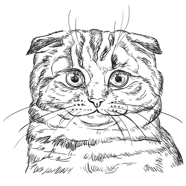 ベクトル手描き猫4 — ストックベクタ