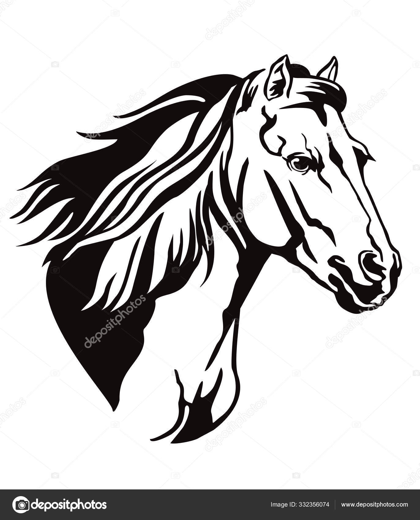 Vector decorative horse 13 ⬇ Vector Image by © Alinart | Vector Stock