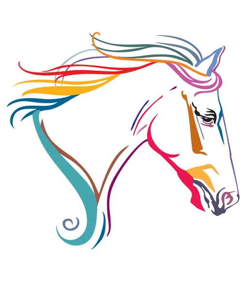 Colorido caballo decorativo 14 — Vector de stock