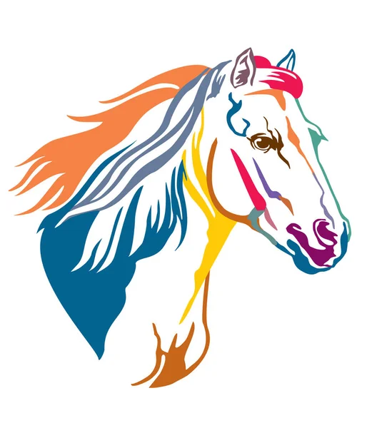 Kolorowy koń dekoracyjny 13 — Wektor stockowy