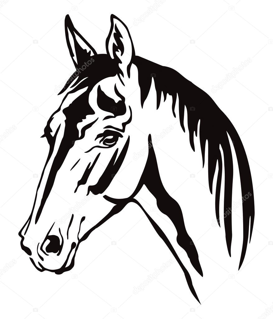 Vector decorative horse 11