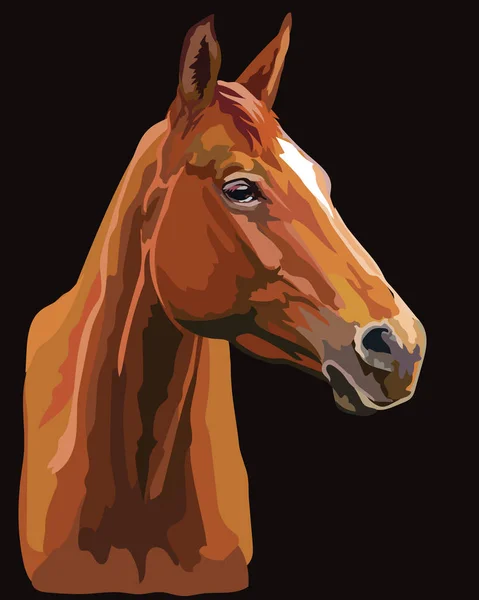 カラフルな馬の肖像ベクトル25 — ストックベクタ