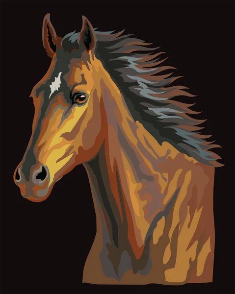 Vetor de retrato de cavalo colorido 23 — Vetor de Stock