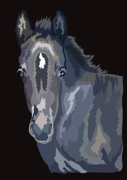 Vecteur de portrait de cheval coloré 28 — Image vectorielle