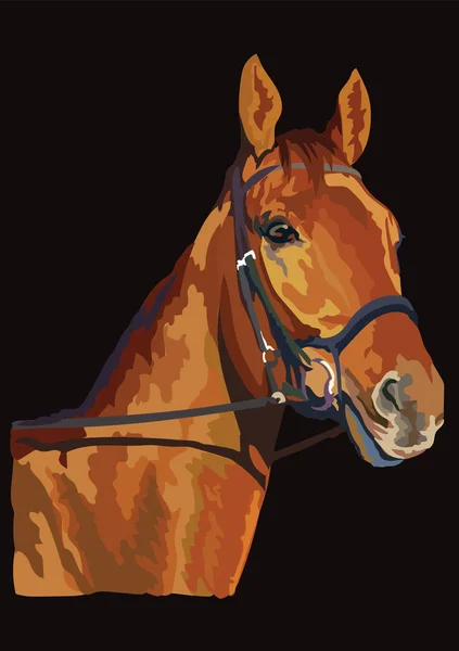 Färgglada häst porträtt vektor 22 — Stock vektor