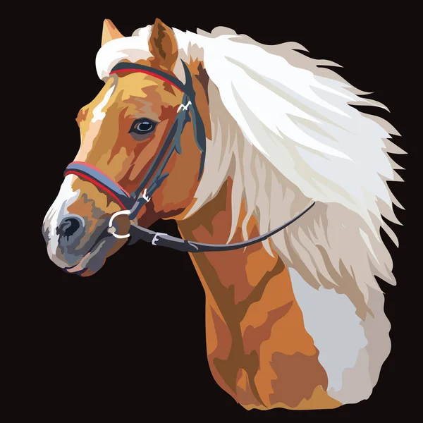 Colorful horse portrait vector 21 — Stock Vector