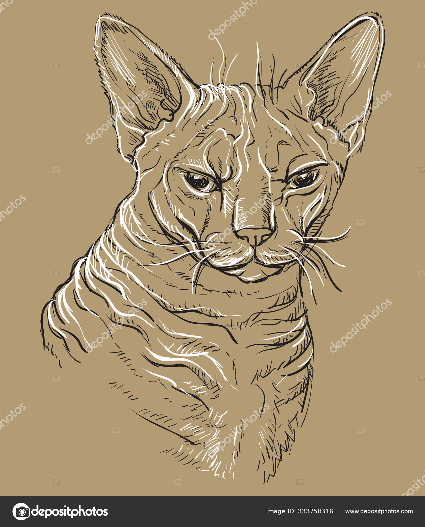 Ilustração Realista Do Desenho Vetorial Do Gato De Estimação Fofo