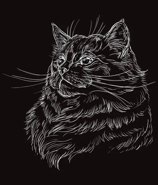 Svart vektor katt porträtt 10 — Stock vektor