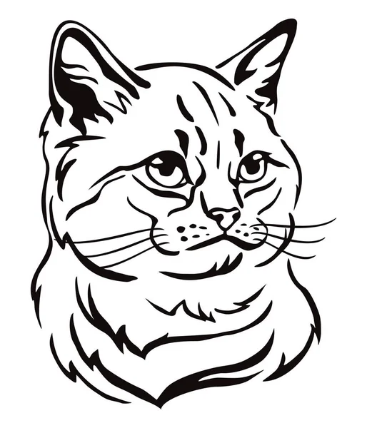 Διακοσμητικό πορτρέτο της γάτας 1 — Διανυσματικό Αρχείο