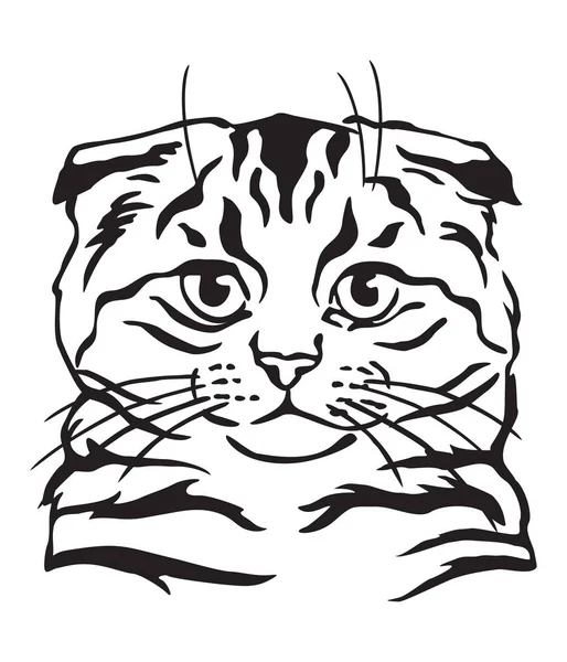 Dekorativní portrét kočky 6 — Stockový vektor