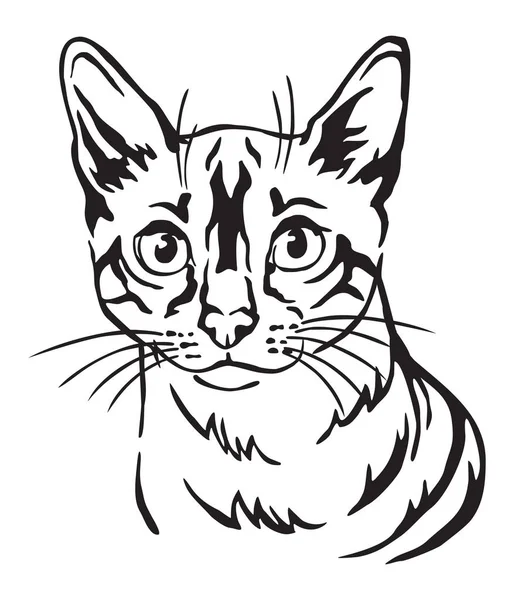 Dekorativt porträtt av katt 8 — Stock vektor
