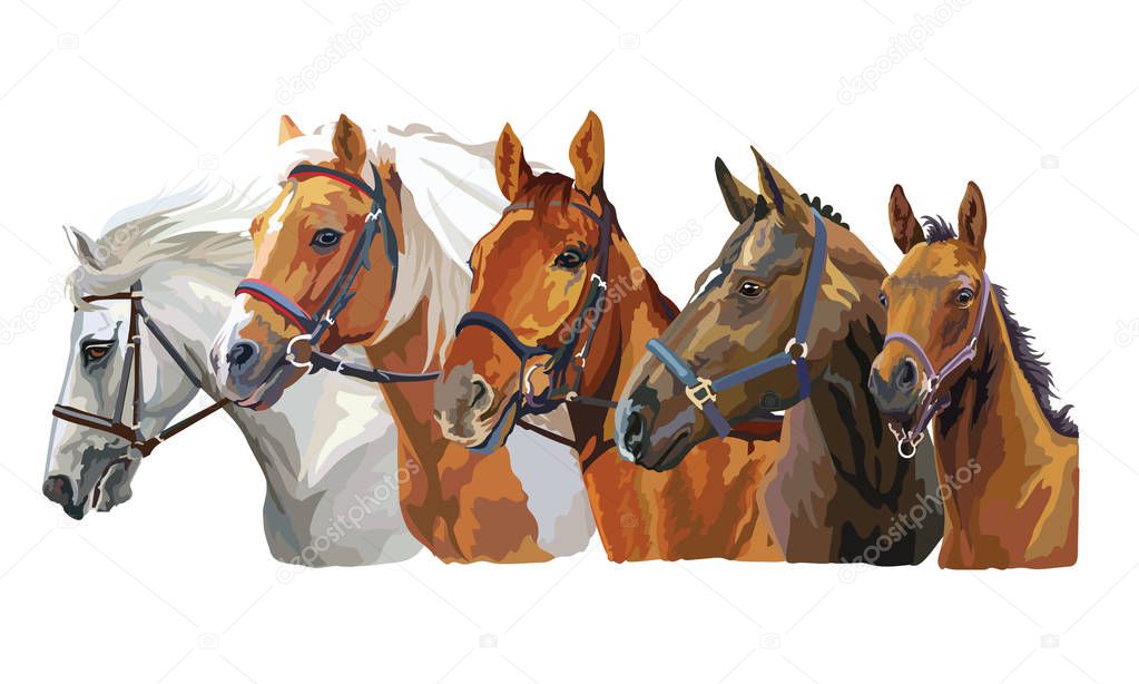 Horses in bridle 2