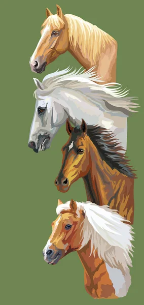 Векторна листівка з кіньми — стоковий вектор