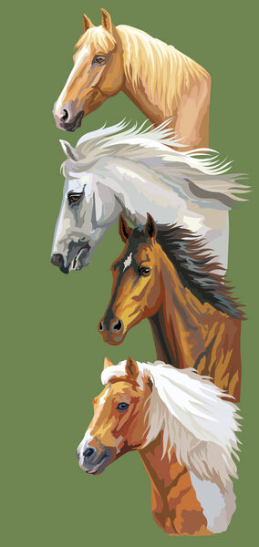 Vector postcard with horses