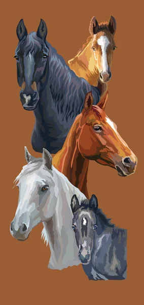 Cartolina vettoriale con cavalli 2 — Vettoriale Stock