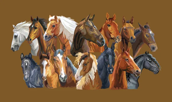Vector conjunto de caballos — Archivo Imágenes Vectoriales