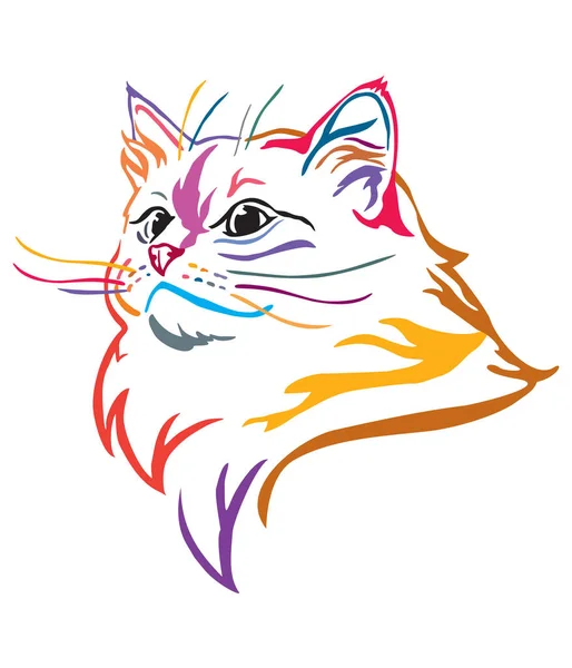 Πολύχρωμο διακοσμητικό πορτρέτο της γάτας 10 — Διανυσματικό Αρχείο