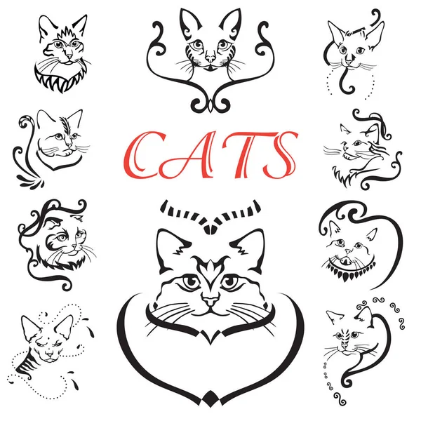 Jogo Desenho Mão Umas Raças Gatos Puras Cabeças Gato Isoladas imagem  vetorial de Alinart© 367604076