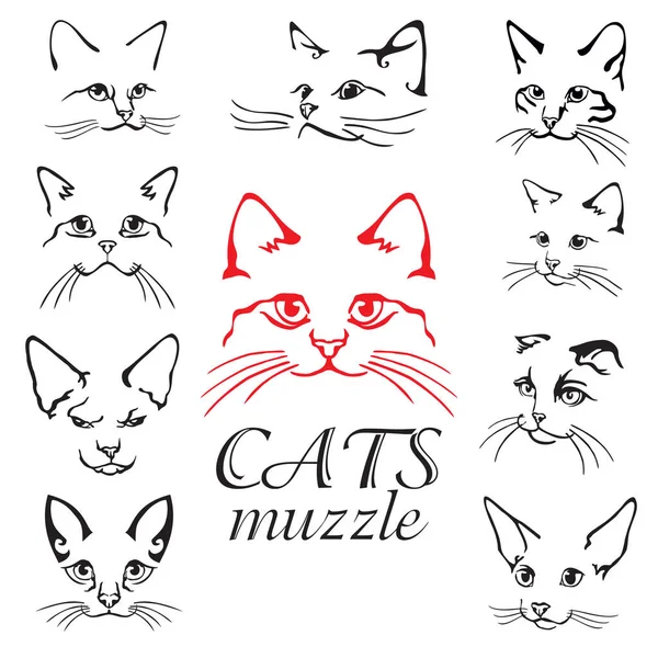 Set Abstract Vector Illustration Cats Muzzle Set Abstract Animal Icon — Stock Vector