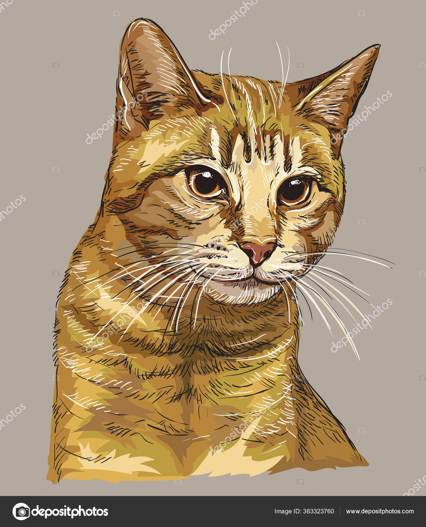 Ilustração Realista Do Desenho Vetorial Do Gato De Estimação Fofo