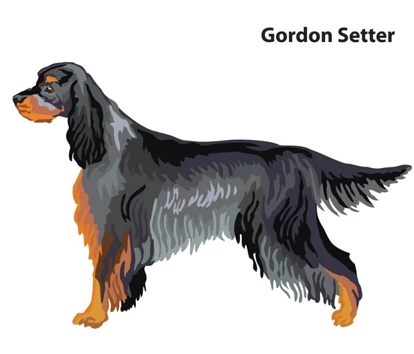 Färgglada Dekorativa Porträtt Stående Profil Dog Gordon Setter Vektor Isolerad — Stock vektor