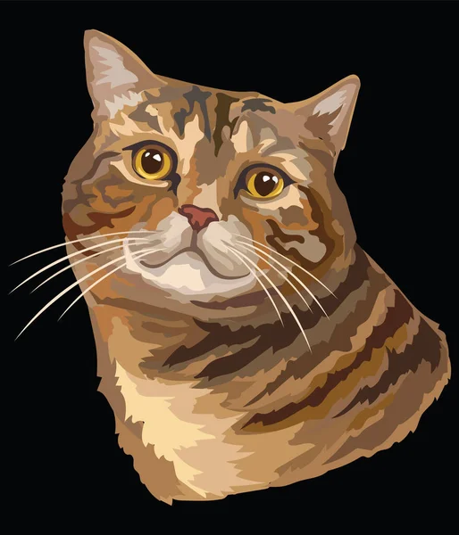 Colorido Vector Dibujo Retrato Gato Realista Retro Retrato Gato Tabby — Vector de stock