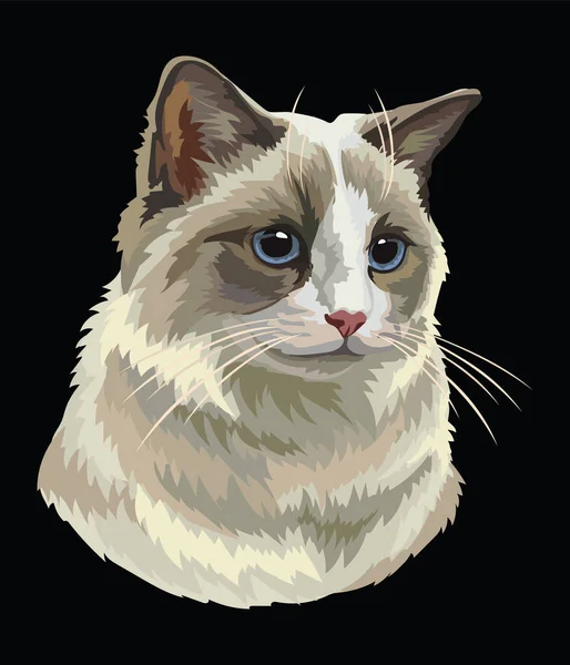Retrato Desenho Vetorial Colorido Gato Ragdoll Retrato Retrô Realista Gato — Vetor de Stock