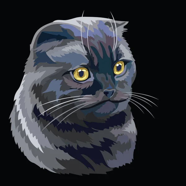 Colorful Vector Drawing Portrait Scottish Fold Cat Isolated Black Background — Stock Vector