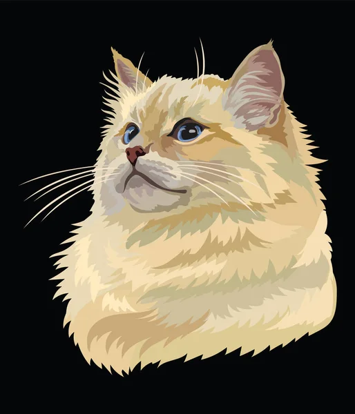 Retrato Desenho Vetorial Colorido Gato Ragdoll Retrato Retrô Realista Colorido — Vetor de Stock