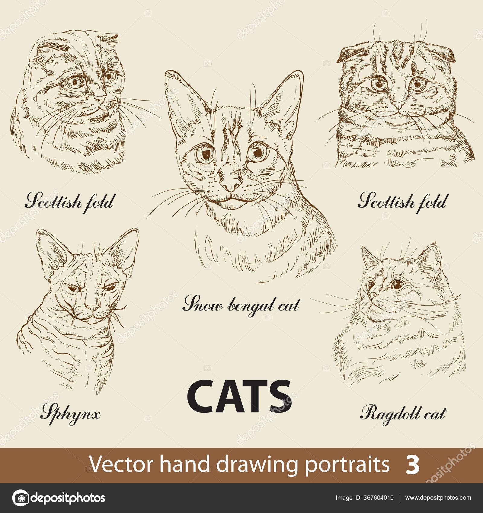 Conjunto de desenhos animados de gatos fofos desenhados à mão gatinhos fofos  em pose diferente