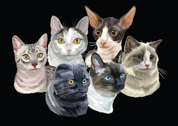 Wektor Ilustracja Kotami Rasa Portrety Izolowane Czarnym Tle Koty Wektor — Wektor stockowy