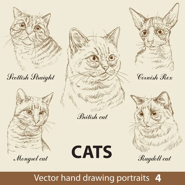 Serie Disegno Mano Razze Gatti Teste Gatto Isolate Sfondo Beige — Vettoriale Stock