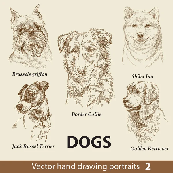 Χέρι Σύνολο Σχεδίασης Από Ένα Χαριτωμένο Φυλές Σκύλων Σκύλοι Κεφάλι — Διανυσματικό Αρχείο