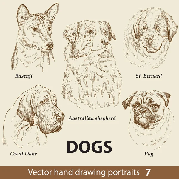 Hand Drawing Set Cute Dogs Breeds Part Dogs Head Isolated — Stock Vector