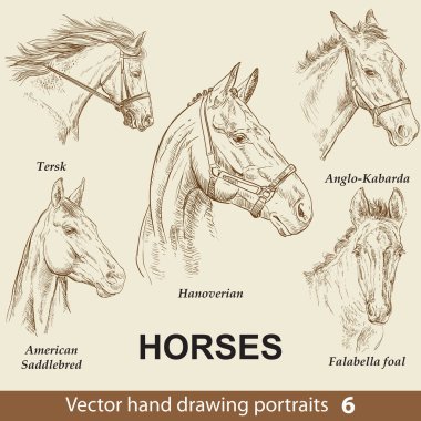 Download Saddlebred Free Vector Eps Cdr Ai Svg Vector Illustration Graphic Art