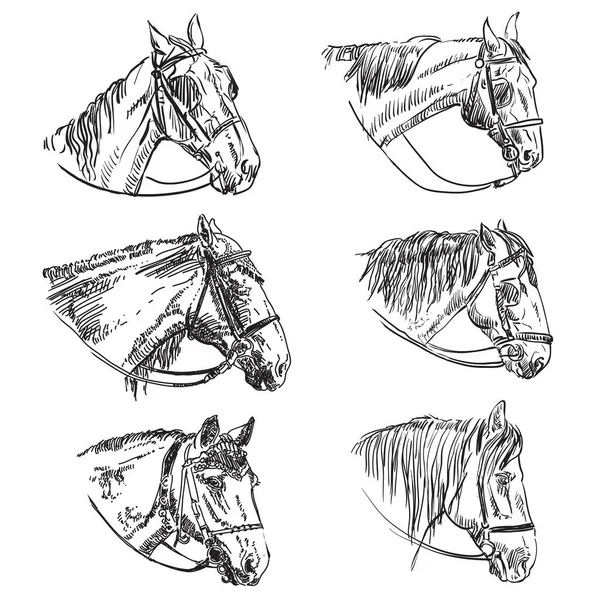 Conjunto Desenho Mão Cabeças Cavalos Freio Elegância Cavalos Cabeças Vista — Vetor de Stock