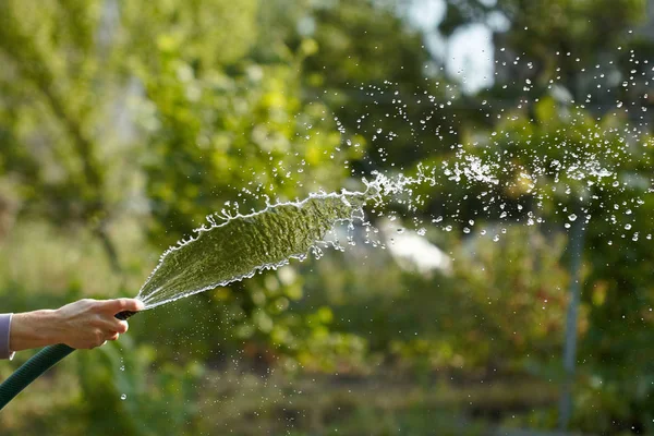 Harvesting process with water hose — Stock Photo, Image