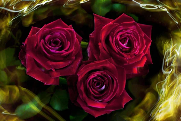 Red roses art composition