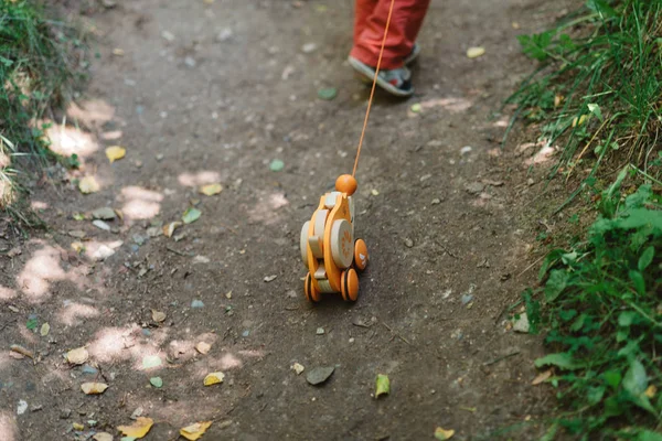 Ребенок несет игрушку Солнечная дорожка в лесу — стоковое фото
