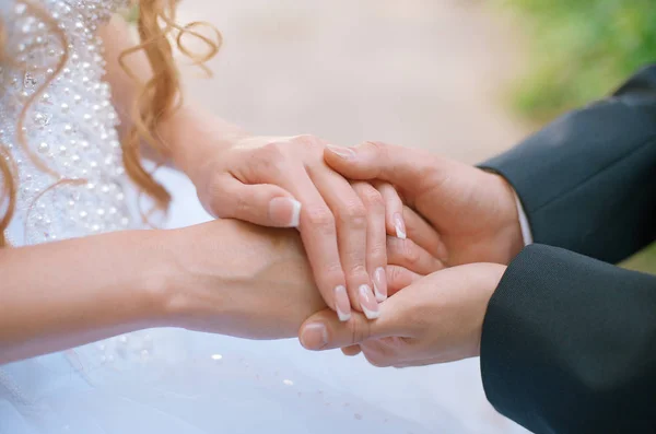 Groom holds the bride's hands — Stock Photo, Image