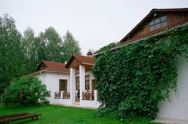 Weißer Stein Landhaus mit braunen Dachziegeln in grünen Reben an den Wänden an einem bewölkten Sommertag unter einem grauen Himmel in den grünen Bäumen und grünem Gras — Stockfoto