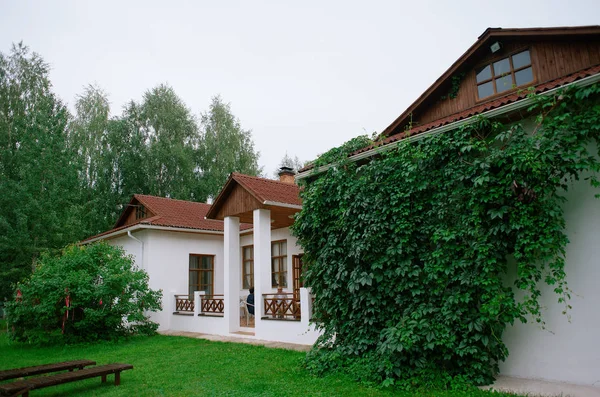 Maison de campagne en pierre blanche avec des tuiles de toit brun en vignes vertes sur les murs par une journée d'été nuageuse sous un ciel gris dans les arbres verts et l'herbe verte Image En Vente