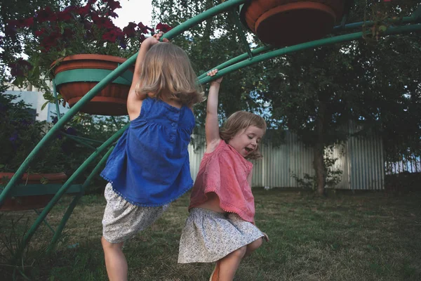 Dvě malé dívky v modré, modré a růžové halenky a sukně hrát na záhon s růžovými květy v hnědých nádob v létě nebo na jaře za slunečného dne — Stock fotografie
