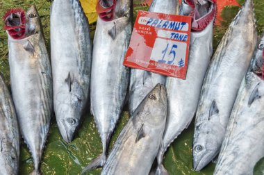 Piyasada bulunan görüntülenen taze balık ve deniz ürünleri düzenleme