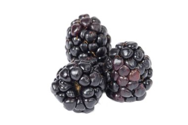 beyaz üzerine üç böğürtlen