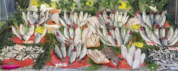 Piyasada bulunan görüntülenen taze balık ve deniz ürünleri düzenleme