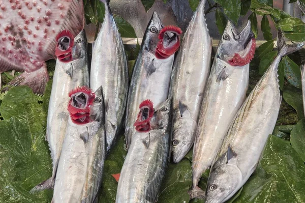 Piyasada bulunan görüntülenen taze balık ve deniz ürünleri düzenleme
